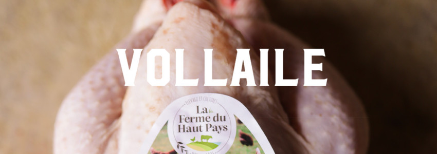 VOLAILLE