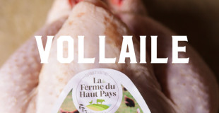 VOLAILLE