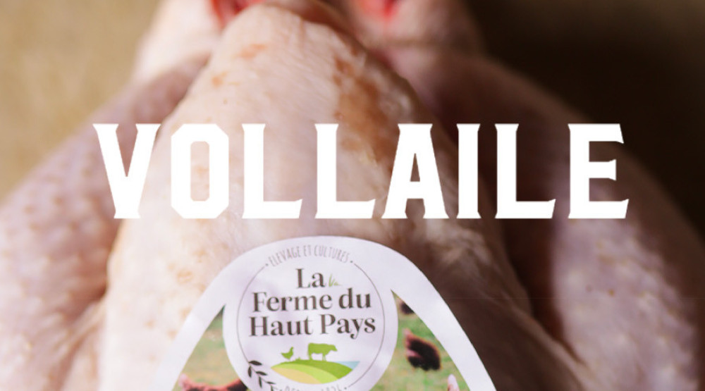 VOLAILLE
