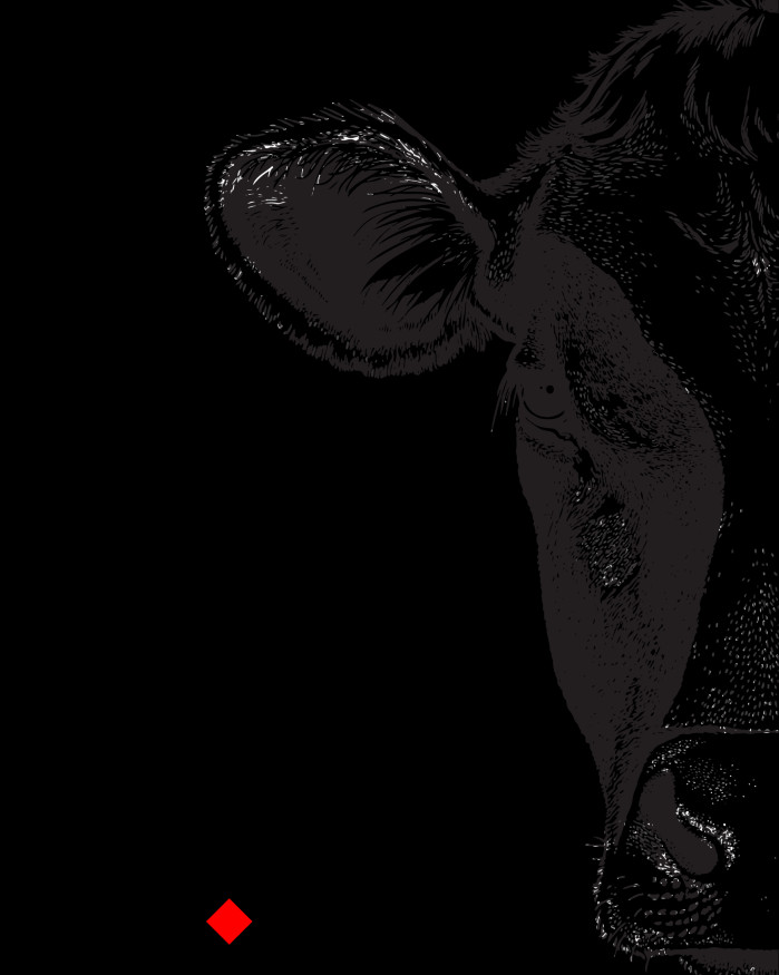 BAVETTE D'ALOYAU PARTHENAISE