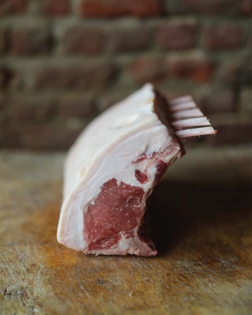 COTE PREMIERE COCHON MANGALICA