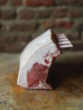 COTE PREMIERE COCHON MANGALICA