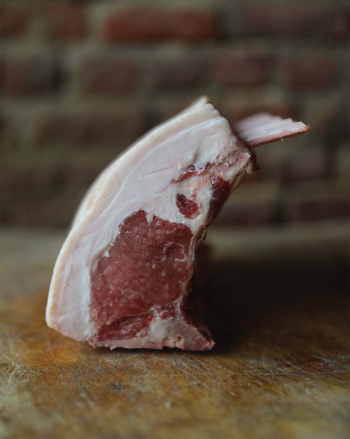 COTE PREMIERE COCHON MANGALICA